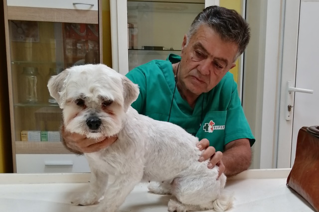 IMG_20190819_112842crop